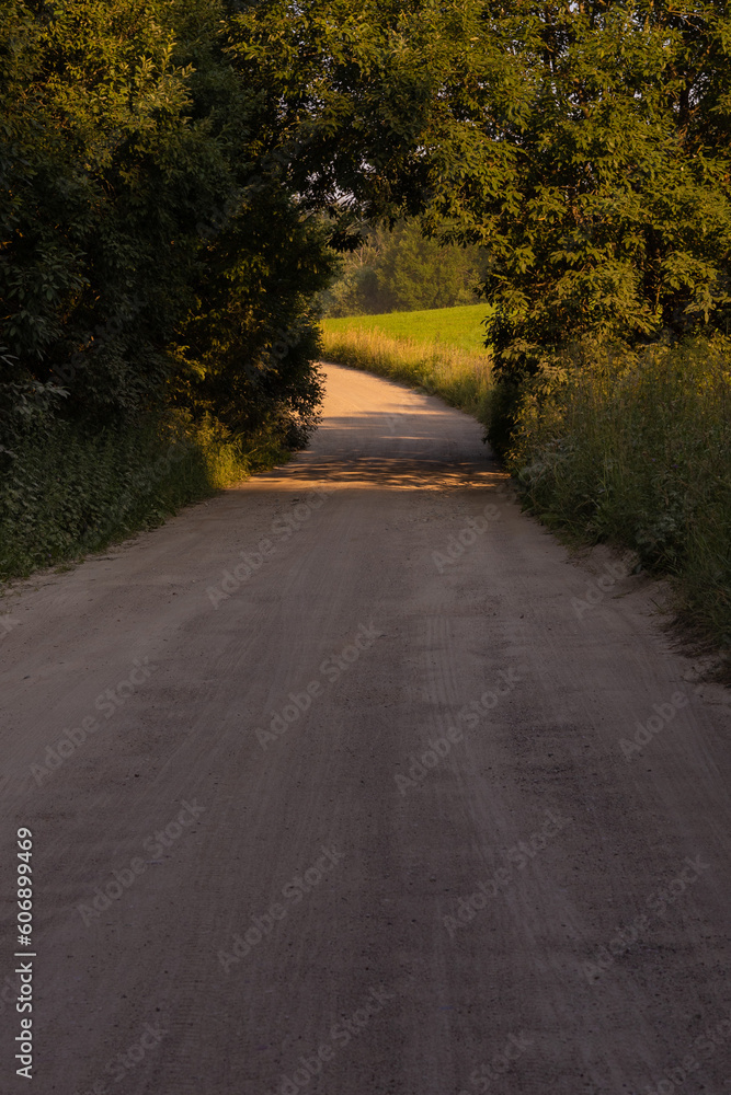 Obraz premium Beautiful rural road in the countryside, day landscape