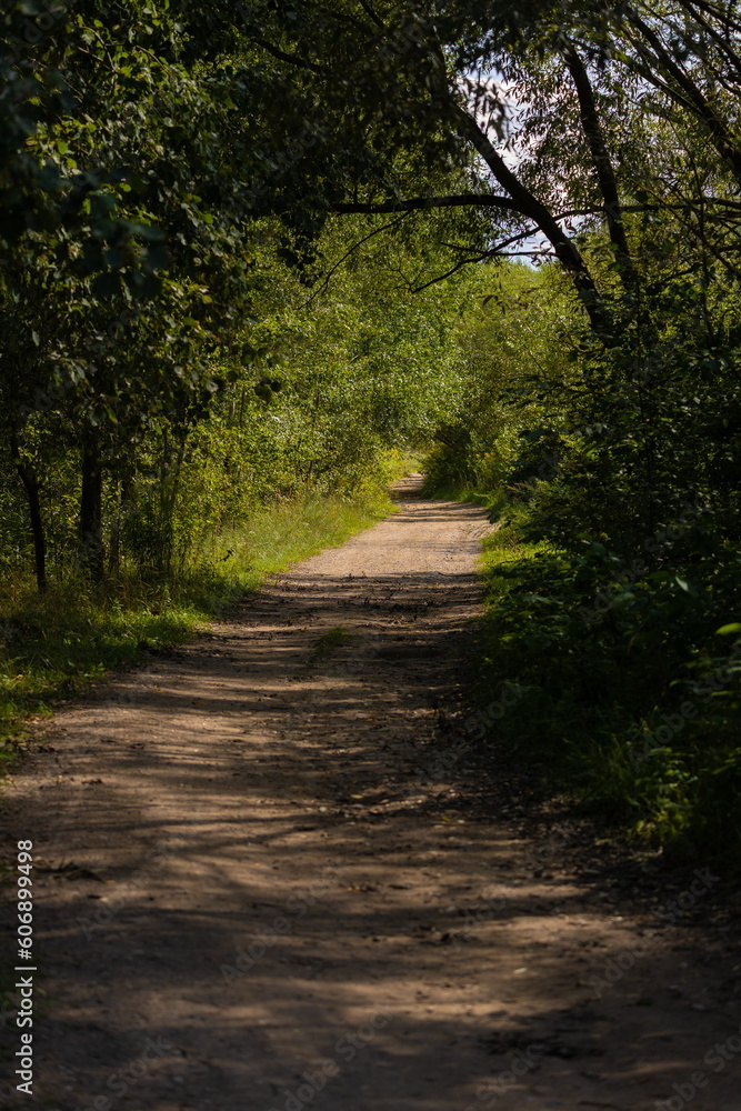 Beautiful rural road in the countryside, day landscape Beautiful rural road in the countryside, day landscape