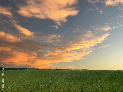 Summer landscape, Sun and sunbeams, sunset sky © Kozlik_mozlik