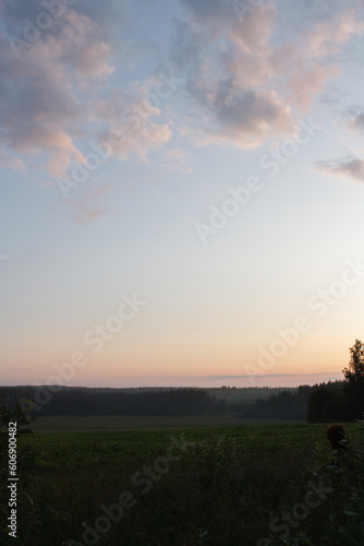 Fototapeta Naklejka Na Ścianę i Meble -  Summer landscape, Sun and sunbeams, sunset sky