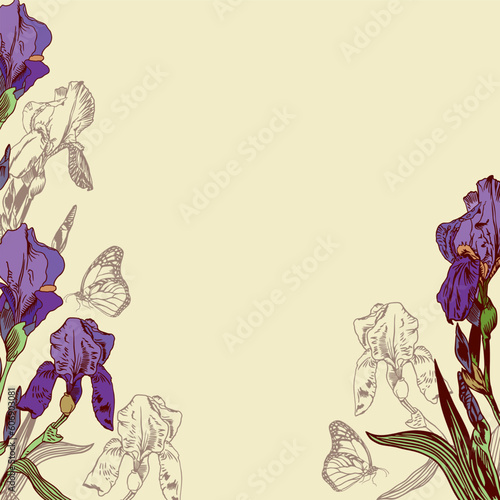 Iris flowers and butterflies. Vector background with purple irises and butterflies. For greeting cards, wedding invitations, banners, flyers.