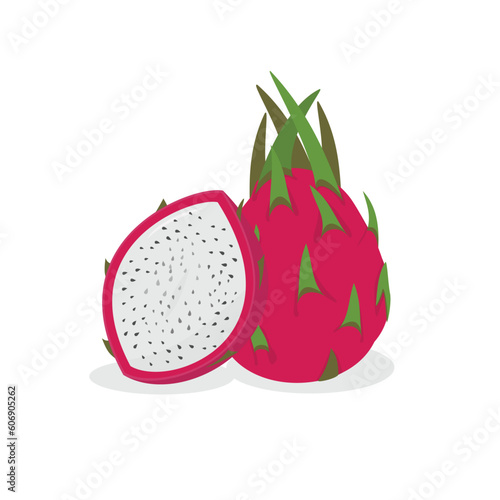 slice dragon fruit vector illustration cartoon design