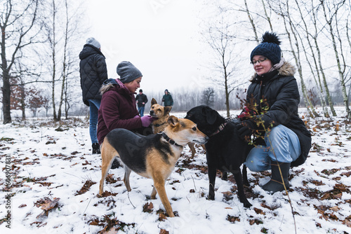 full shot of volunteers and different breeds of dogs walking in the snow and having fun. High quality photo