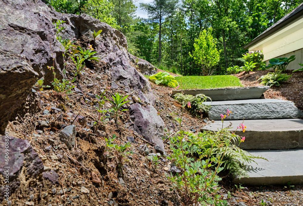 Rocky ledge and wide stone steps lead to the back garden bathed in Spring sunshine and surrounded by woods Rocky ledge and wide stone steps lead to the back garden bathed in Spring sunshine and surrounded by woods
