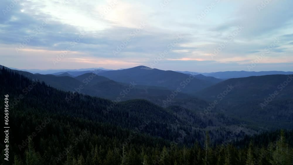 A cinematic view from above of a meadow between green forest spruce trees on a sunset, Carpathian mountains ridge A cinematic view from above of a meadow between green forest spruce trees on a sunset, Carpathian mountains ridge