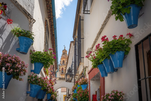 Calleja de las Flores Street with Flower pots and Cathedral Tower - Cordoba, Andalusia, Spain photo