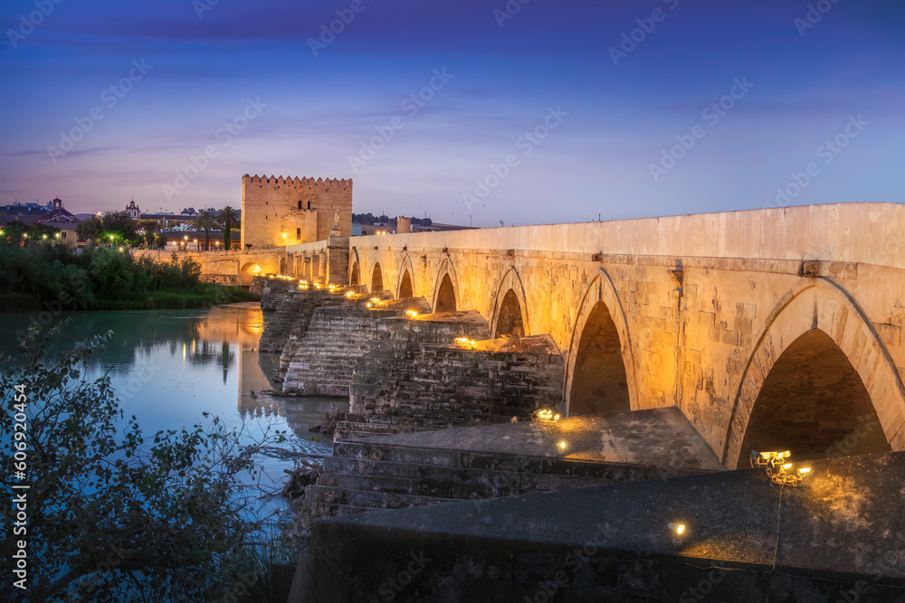 Illuminated Roman Bridge of Cordoba at sunrise - Cordoba, Andalusia, Spain