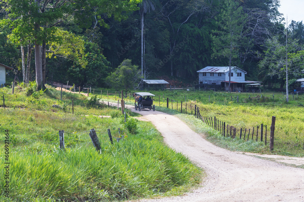 Obraz premium Road in Belize