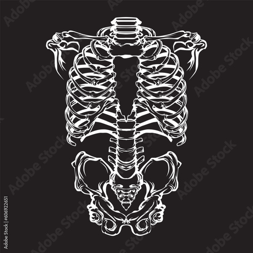 skeleton of a person