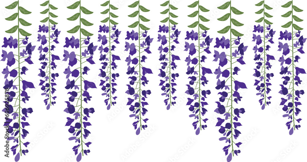 Dangling Flower Element. Illustration of home hanging leaves of plant String of Nickels isolated on white background. Dangling Flower Element. Illustration of home hanging leaves of plant String of Nickels isolated on white background.