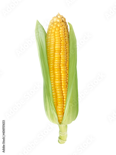 Corn, transparent background