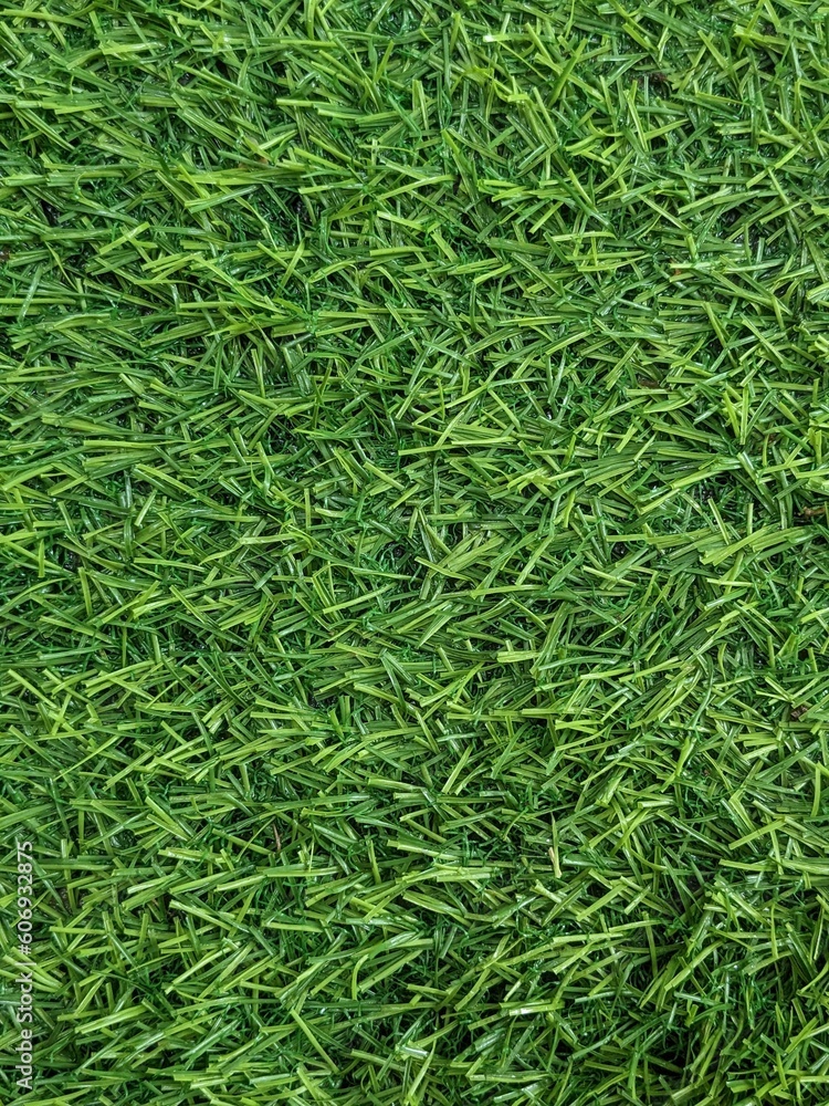 green grass background green grass background