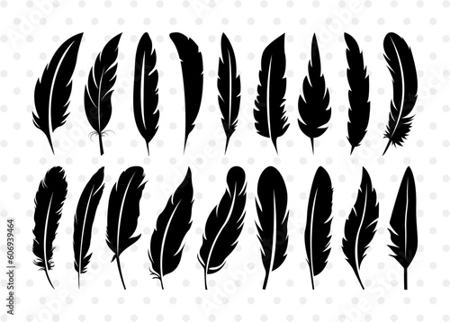 Feather SVG, Feather Silhouette, Boho Feathers Svg, Birds Feather Svg, Quill Svg, Feather Bundle
