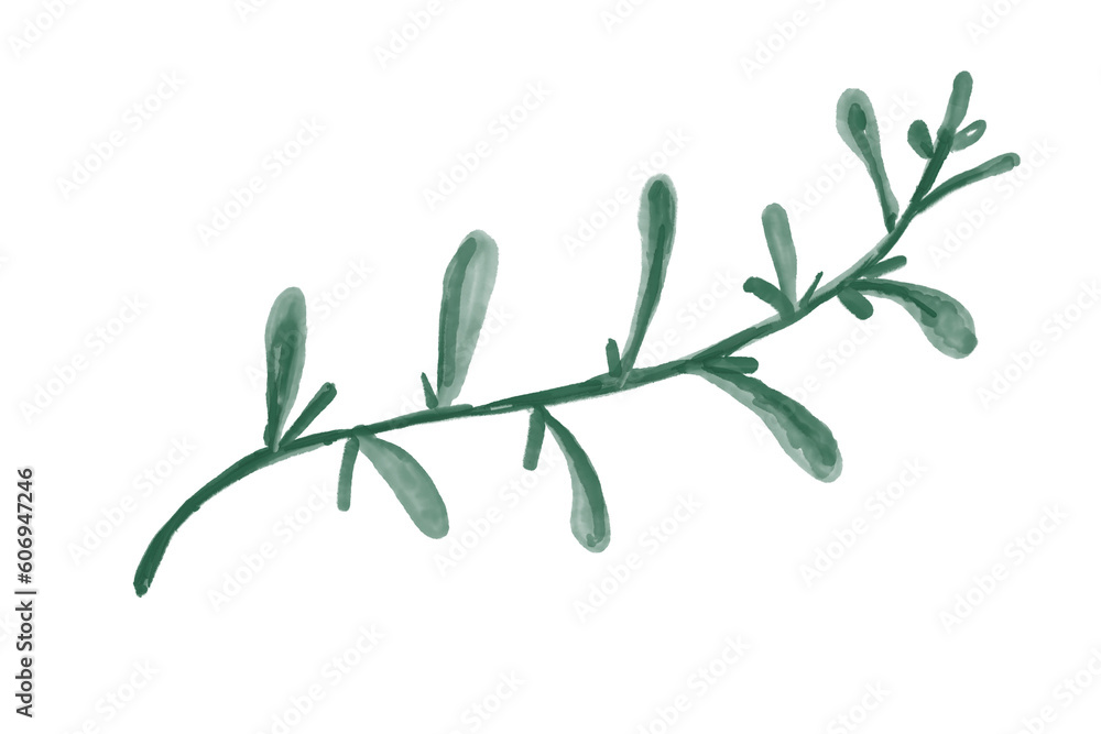 branch of a tree with leaves branch of a tree with leaves