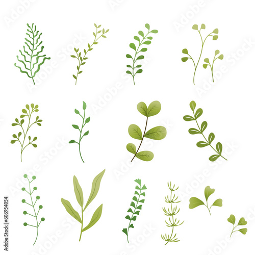 Vector designer elements set collection of green forest, Green leaves set isolated on white background