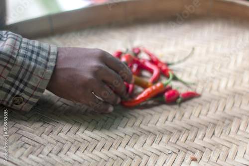 A human hand holding some red chilly and a background blur