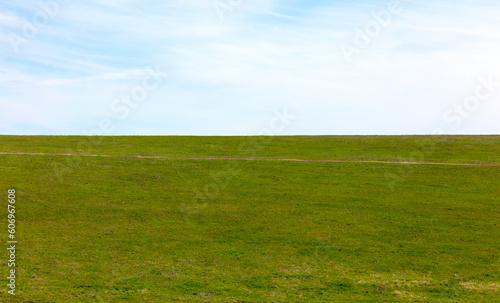 Green grass field with blue sky background and copy space for text