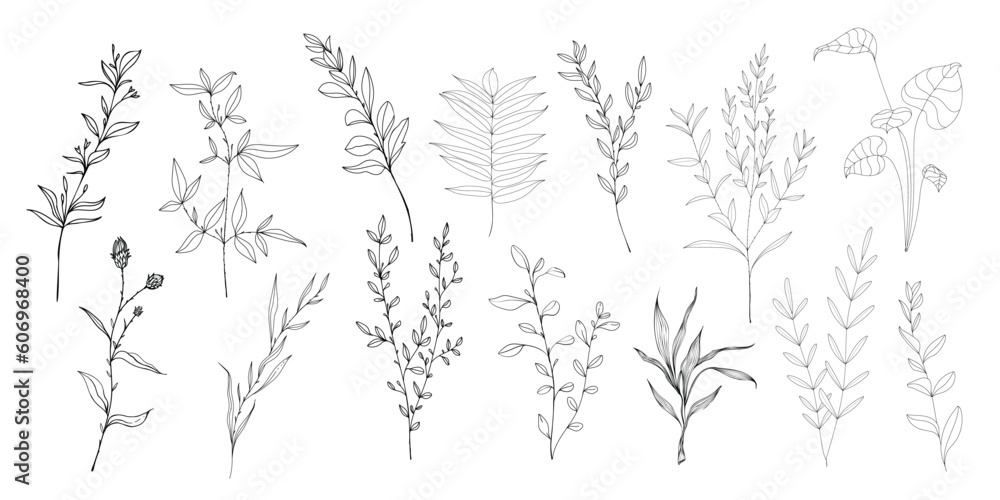 vector hand drawn plant and flower images vector hand drawn plant and flower images