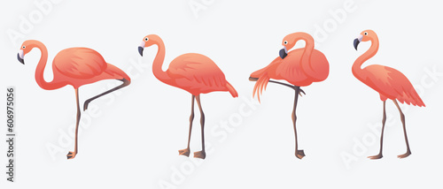 Flamingo Collection Set Animal Summer Beach Flat Style