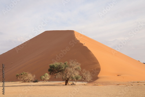 Foto 【ナミビア】ナミブ砂漠 - Dune 45