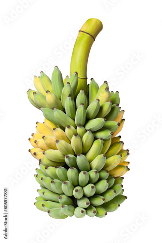 bunch of bananas isolated on white