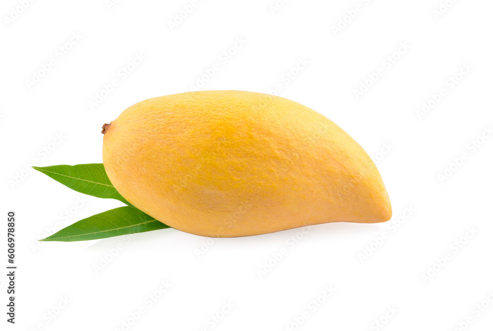 Mango fruit and leaf isolated on white background