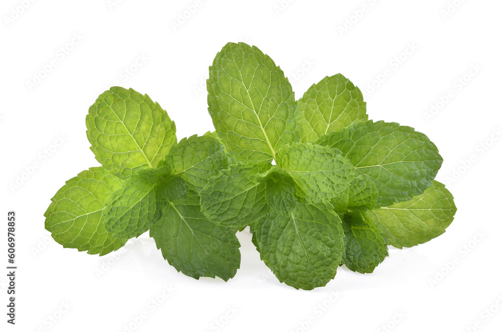 Mint leaves isolated on white background. Mint leaves isolated on white background.