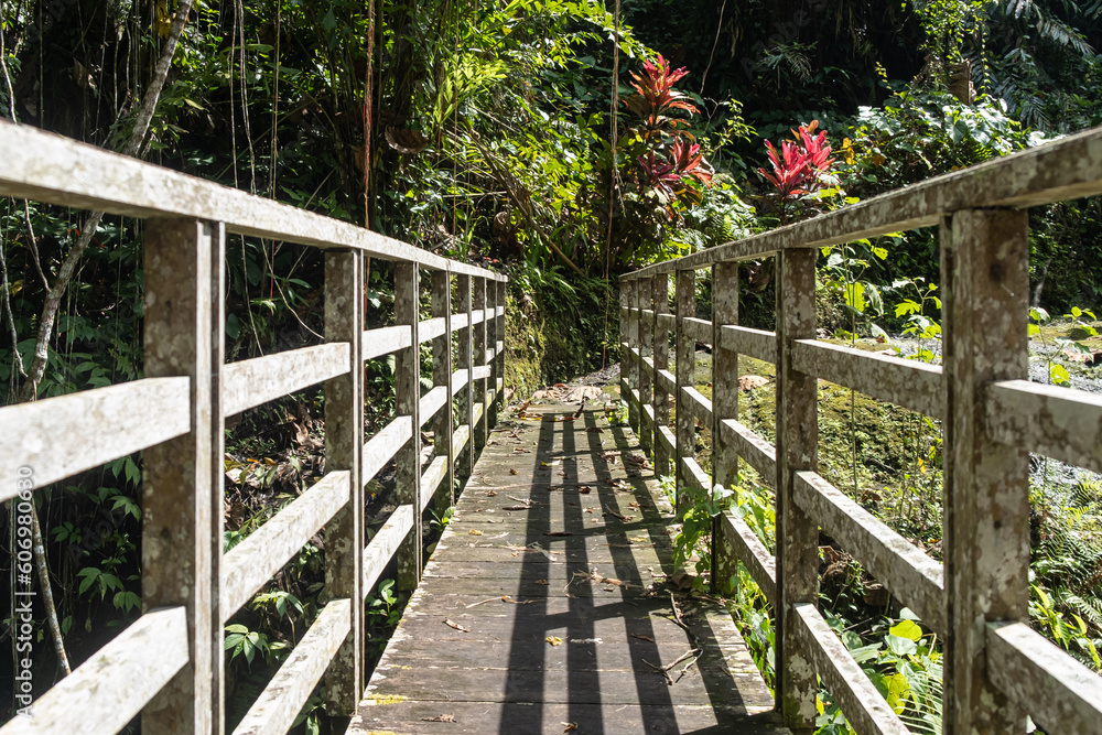 wooden bridge in the woods wooden bridge in the woods