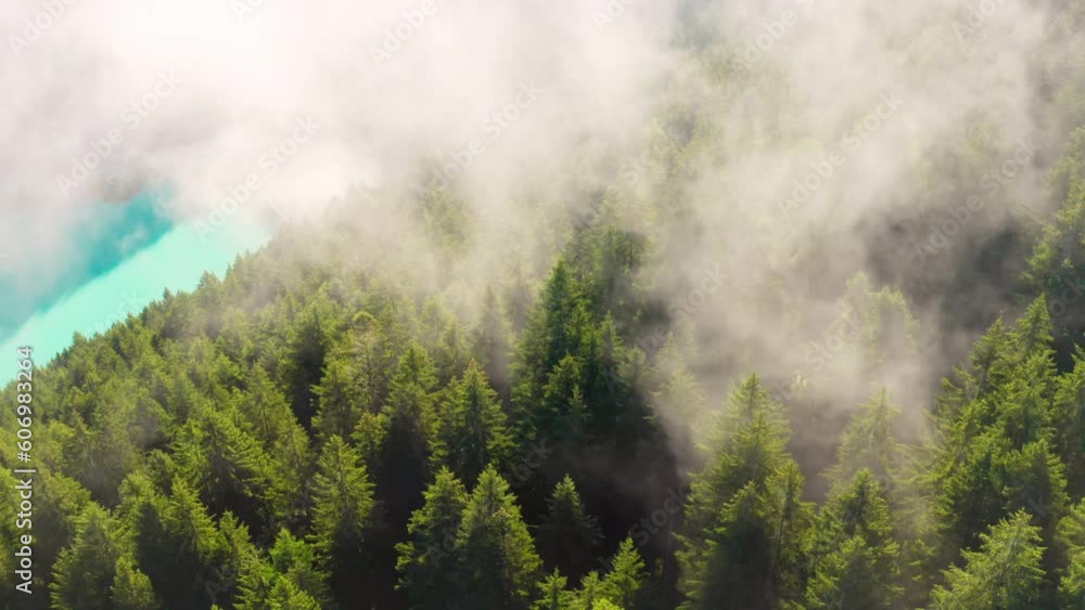 Dense white fog covers lush green trees around blue lake in sunny summer morning. Forestry hills with thick vegetation in highland aerial view Dense white fog covers lush green trees around blue lake in sunny summer morning. Forestry hills with thick vegetation in highland aerial view