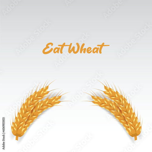 wheat