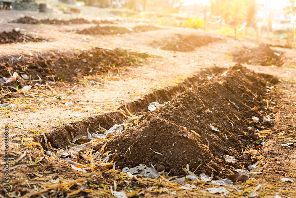 Textured fertile soil for cultivation as background. The potting soil or peat is suitable for gardening and is one of the four natural elements. Land is life for our planet earth. Gardening season. Textured fertile soil for cultivation as background. The potting soil or peat is suitable for gardening and is one of the four natural elements. Land is life for our planet earth. Gardening season.