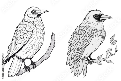 鳥（カラス）のモノクロ線画セット