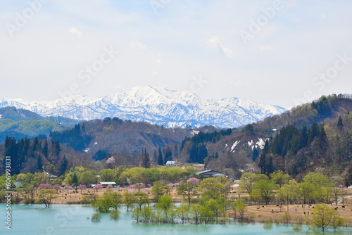白川湖の水没林（山形県） © UI_forever
