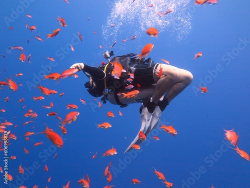 scuba diver having fun in the water of red sea 