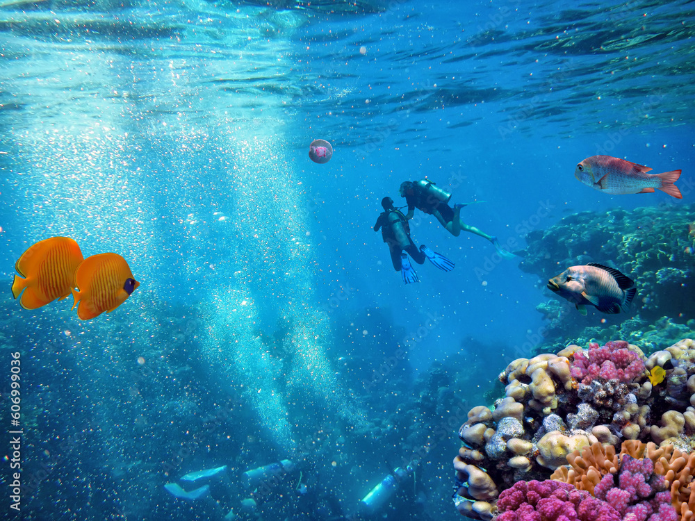 Φωτογραφία School of beautiful fish on soft and hard coral in shallow water of the Red Sea