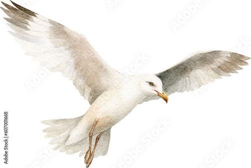 Fototapeta Watercolour seagull illustration created with Generative AI technology