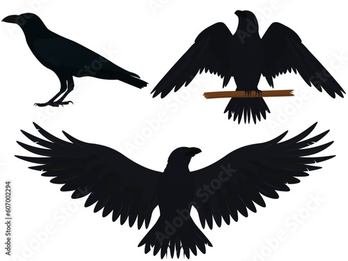 Ravens in different poses collection vector illustration
