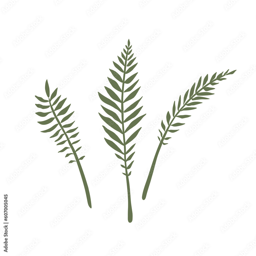 branch of a plant isolated on transparent background. PNG branch of a plant isolated on transparent background. PNG
