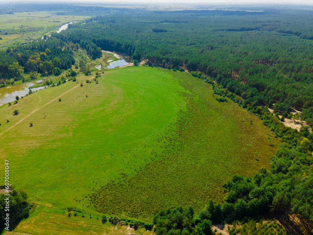 Beautifull meadow. Forest and river drone view.