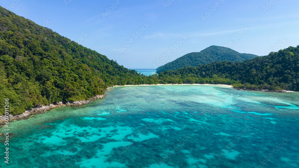  The tropical seashore island in a coral reef ,blue and turquoise sea Amazing nature landscape