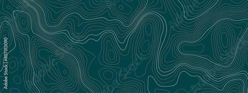 Abstract colorful blue topographic wavy curve line background. Topography map pattern, Geographic curved relief. Topographic lines background. Vector illustration.