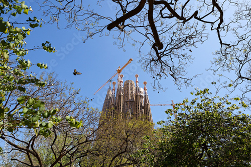 Sagrada Familia à Barcelone vue extérieure entourée d'arbres