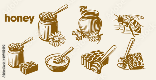 honey set design template, hand drawn fresh honey, honeycomb pieces, whole honey ingredients, bees and squeezed honey. natural honey vector template