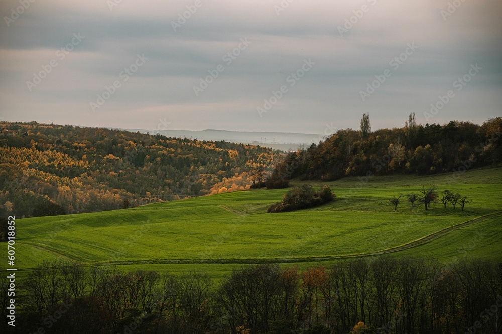 Obraz premium Scenic view of a beautiful green field on the hill