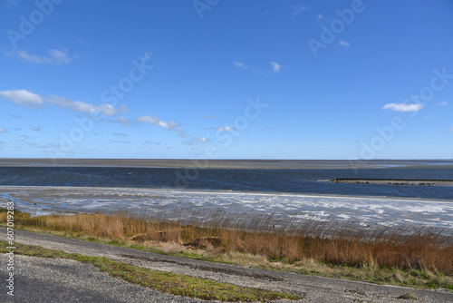 Fototapeta Naklejka Na Ścianę i Meble -  Den Helder, Netherlands. May 2023. The Wadden Sea near Den Helder, North Holland.