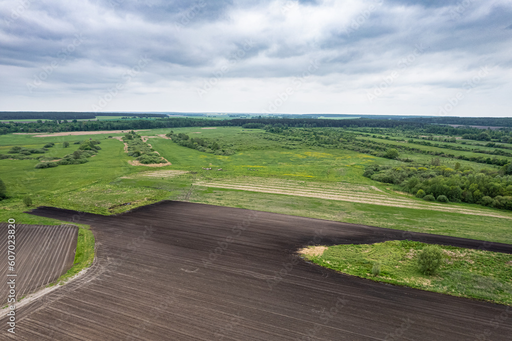 Top view of plowed and sown fields