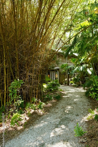 Vertical shot of a path to a bamboo house between tropical trees