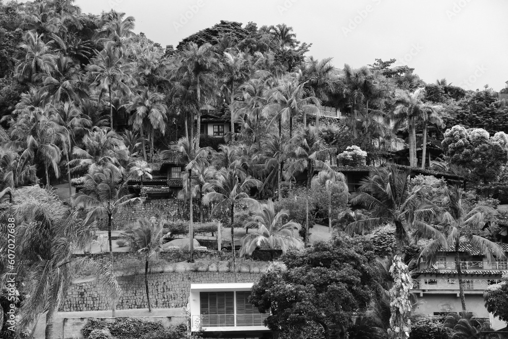 Black and white shot of rural houses surrounded by palms in Ilhabella island, Brazil