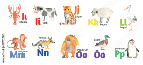 Turkish letters, the alphabet, illustrated with funny pictures of animals from I to P on a white background.