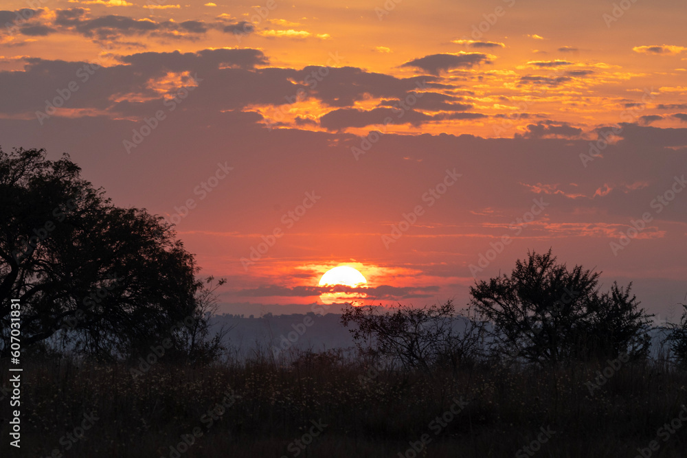 African sunrise in Rietvlei Nature Reserve